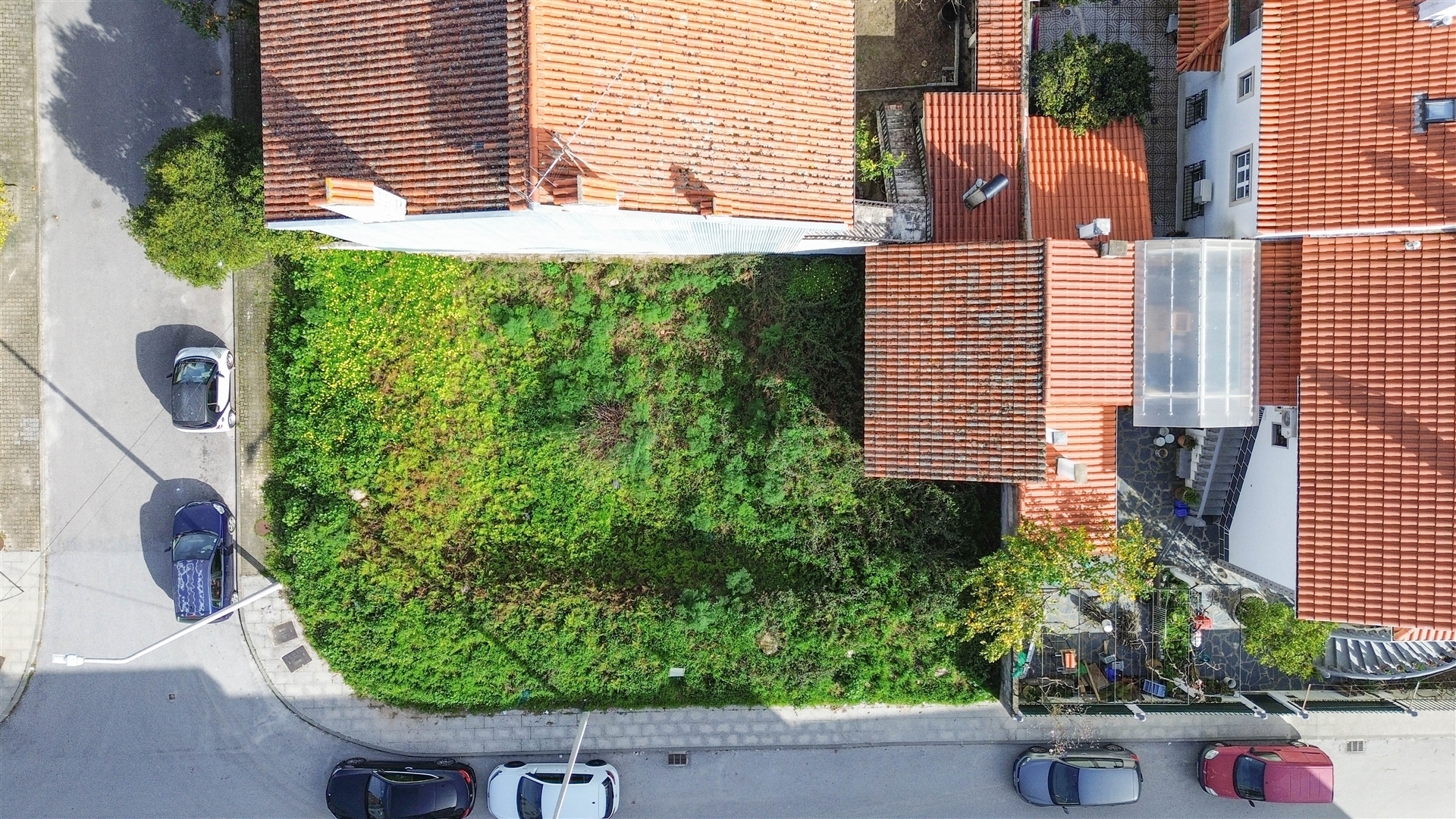 Lote de Terreno na Quinta da Carapalha em Castelo Branco