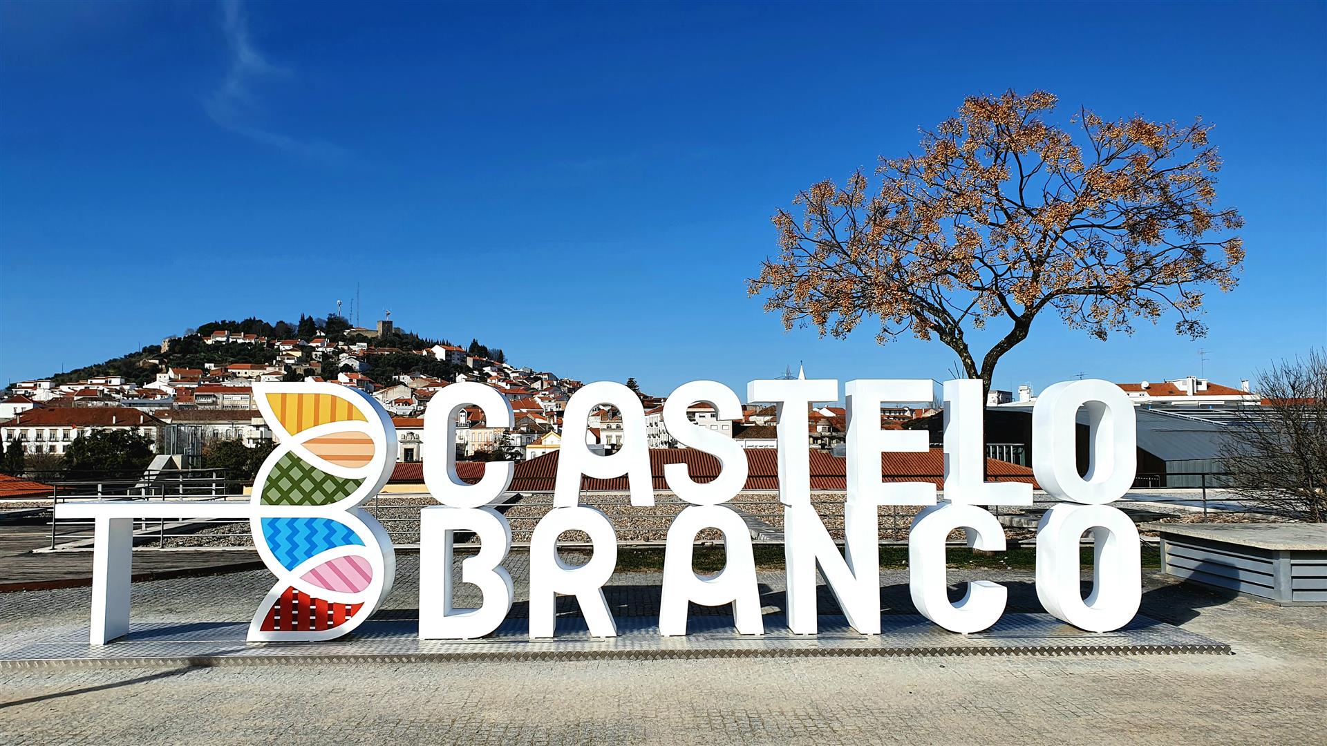 Welcome to your real estate agency